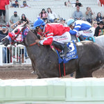 Solid - Zia Quarter Horse Derby G2 07-27-24 R10 The Downs At Albuquerque Inside Finish