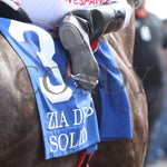 Solid - Zia Quarter Horse Derby G2 07-27-24 R10 The Downs At Albuquerque Saddle