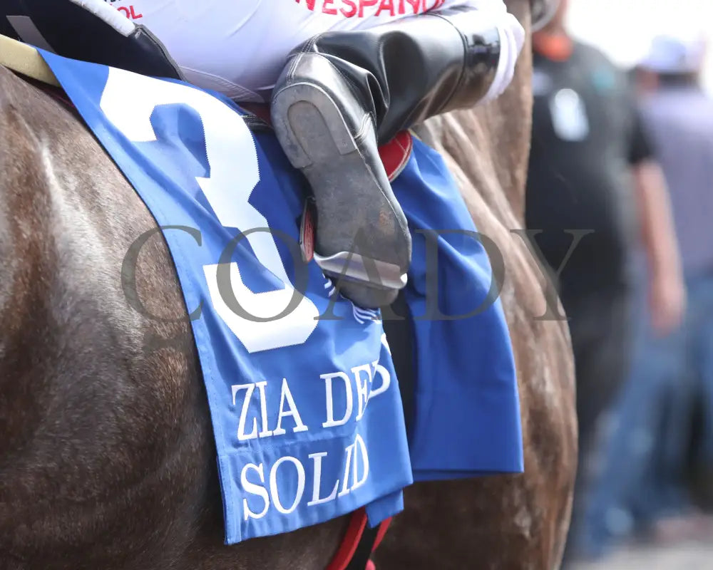 Solid - Zia Quarter Horse Derby G2 07-27-24 R10 The Downs At Albuquerque Saddle