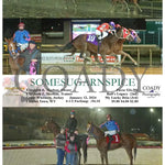 Somesugarnspice - 01-12-24 R08 Ct Hollywood Casino At Charles Town Races