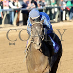 Sovereignty - The Street Sense G3 10-27-24 R10 Cd Inside Finish 01 Churchill Downs