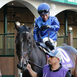 Sovereignty - The Street Sense G3 10-27-24 R10 Cd Paddock 01 Churchill Downs