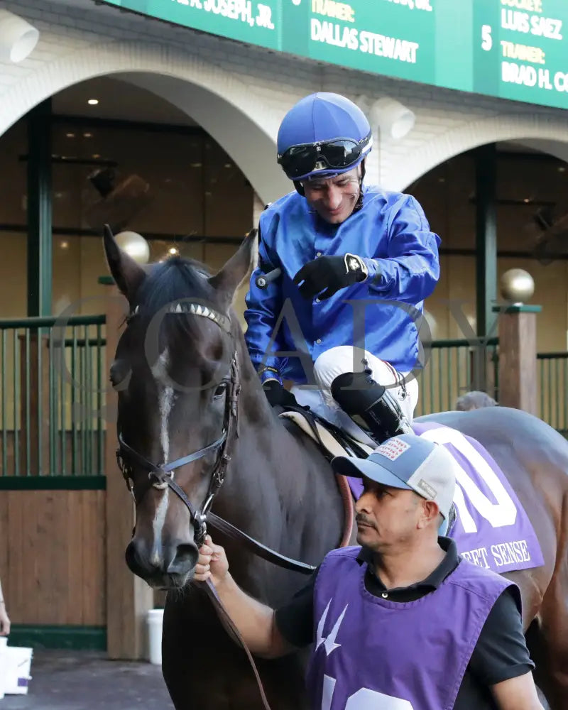 Sovereignty - The Street Sense G3 10-27-24 R10 Cd Paddock 01 Churchill Downs