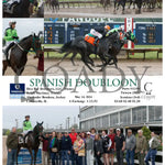 Spanish Doubloon - 05-14-24 R06 Fan Fanduel Sportsbook Horse Racing