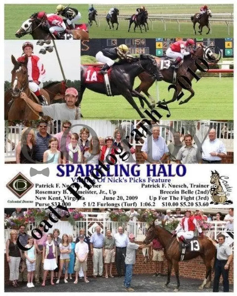 Sparkling Halo - Victims Of Nick S Picks Feature Colonial Downs