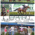 Spectacullari - 08-28-24 R08 Pid Presque Isle Downs