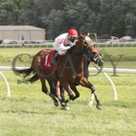 Spellcast - 060724 Race 08 Btp Green Carpet Stakes Finish 01 Belterra Park