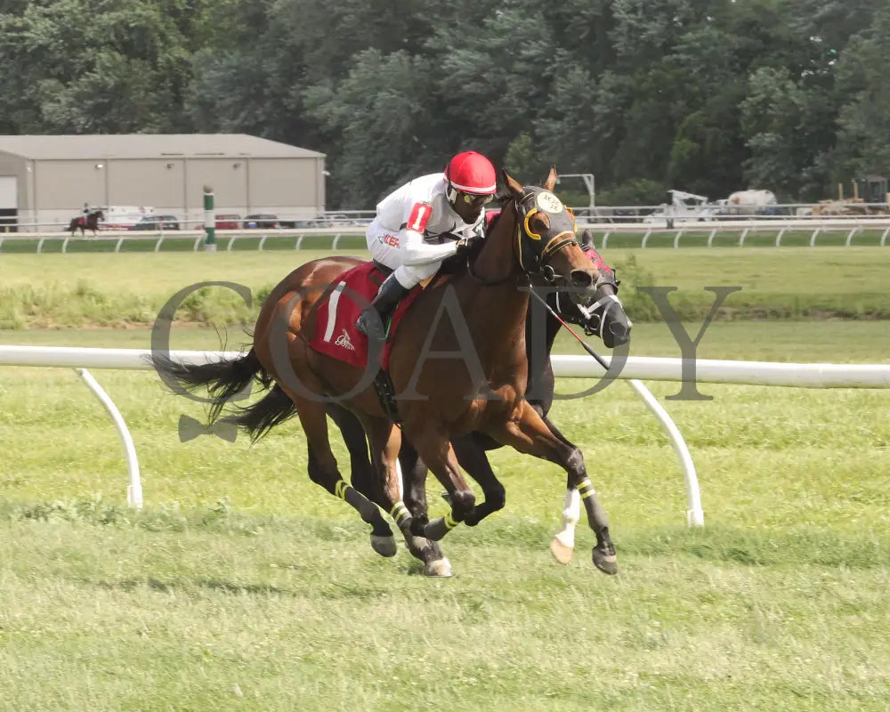 Spellcast - 060724 Race 08 Btp Green Carpet Stakes Finish 01 Belterra Park