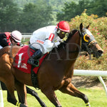 Spellcast - 060724 Race 08 Btp Green Carpet Stakes Finish 02 Belterra Park