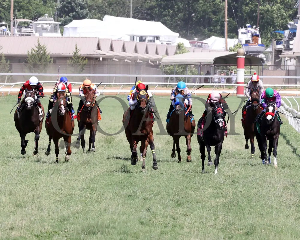 Spellcast - 060724 Race 08 Btp Green Carpet Stakes Head On 01 Belterra Park