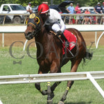 Spellcast - 060724 Race 08 Btp Green Carpet Stakes Inside Finish 01 Belterra Park