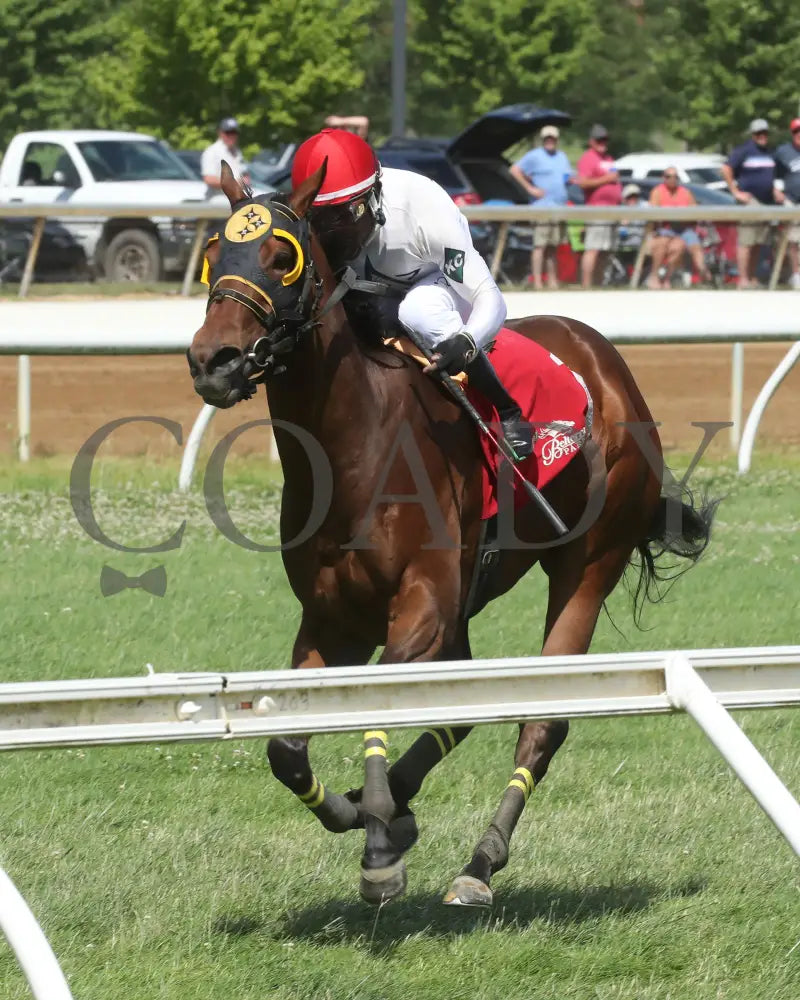 Spellcast - 060724 Race 08 Btp Green Carpet Stakes Inside Finish 01 Belterra Park