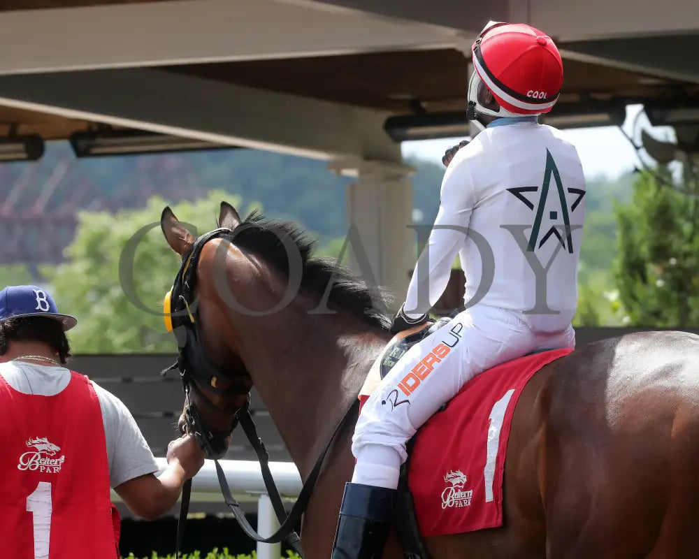 Spellcast - 060724 Race 08 Btp Green Carpet Stakes Paddock 01 Belterra Park