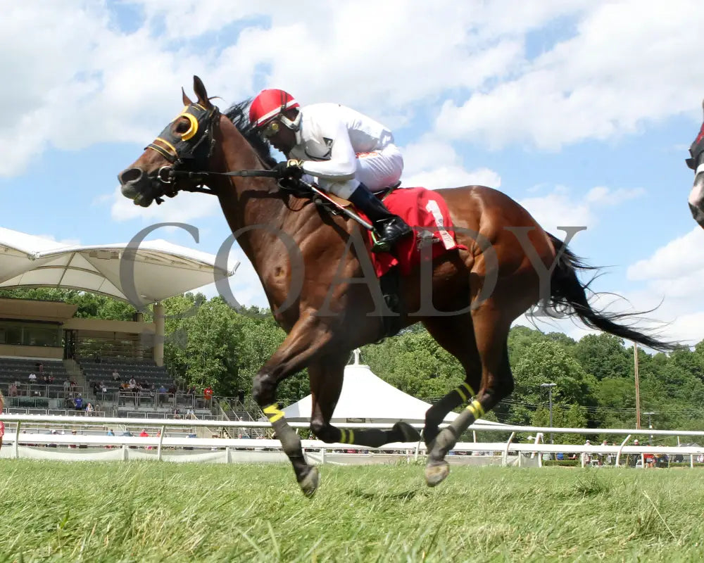 Spellcast - 060724 Race 08 Btp Green Carpet Stakes Under Rail 01 Belterra Park