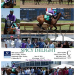 Spicy Delight - 06-11-24 R03 Fan Fanduel Sportsbook Horse Racing