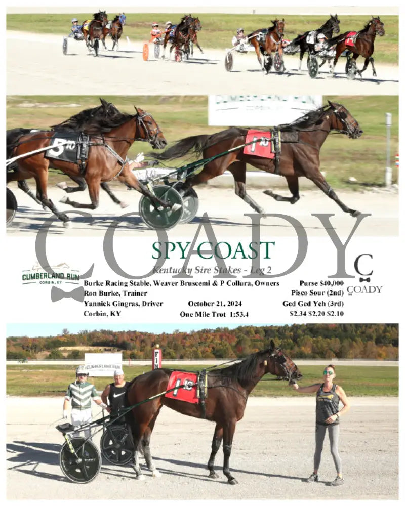 Spy Coast - Kentucky Sire Stakes Leg 2 10-21-24 R10 Clr Cumberland Run