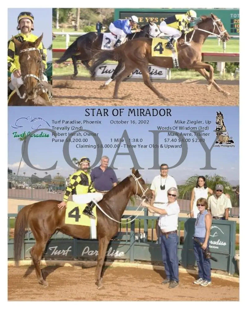 Star Of Mirador - 10 16 2002 Turf Paradise