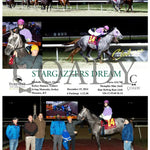 Stargazzers Dream - 121924 Race 01 Tp Turfway Park