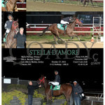 Stella D’amore - 10-27-24 R03 Mnr Mountaineer Park