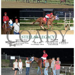 Stellar Legacy - 07-14-24 R08 Mnr Mountaineer Park