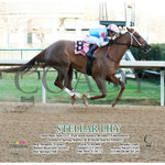 Stellar Lily - 01-13-24 R08 Op Action Oaklawn Park