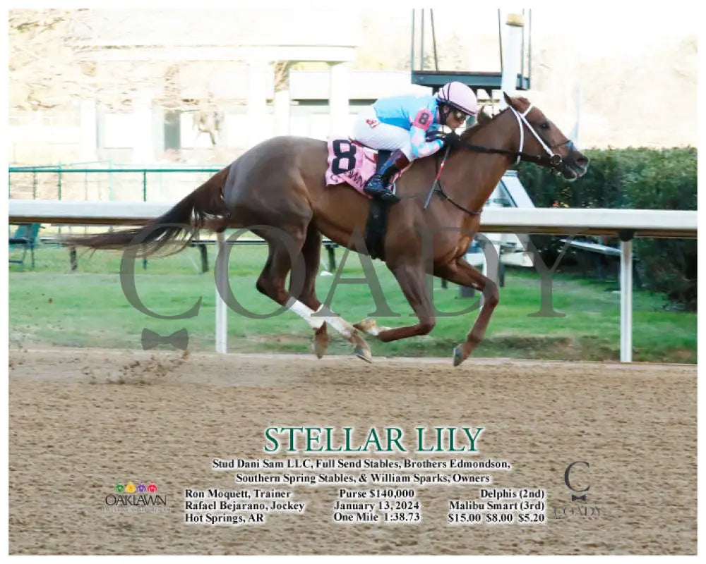 Stellar Lily - 01-13-24 R08 Op Action Oaklawn Park