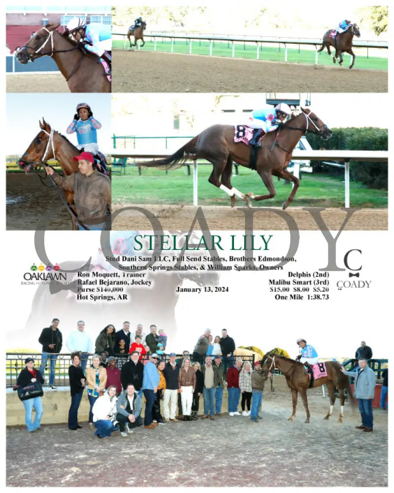 Stellar Lily - 01-13-24 R08 Op Oaklawn Park