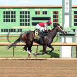 Stilettos - The Ellis Park Debutante 7Th Running 08-11-24 R08 Elp Finish 01