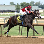 Stilettos - The Ellis Park Debutante 7Th Running 08-11-24 R08 Elp Finish 03