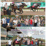 Stormylux - Atba Three Year Old Sales Final (Fillies Division) 03 - 19 - 24 R06 Tup Turf Paradise