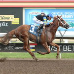 Street Warrior - Victor S Myers Stakes 07-13-24 R02 Canterbury Park Finish