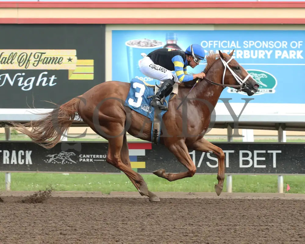 Street Warrior - Victor S Myers Stakes 07-13-24 R02 Canterbury Park Finish