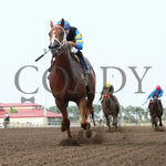 Street Warrior - Victor S Myers Stakes 07-13-24 R02 Canterbury Park Under Rail