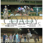 Strive For Stride - 09-26-24 R08 Ct Hollywood Casino At Charles Town Races