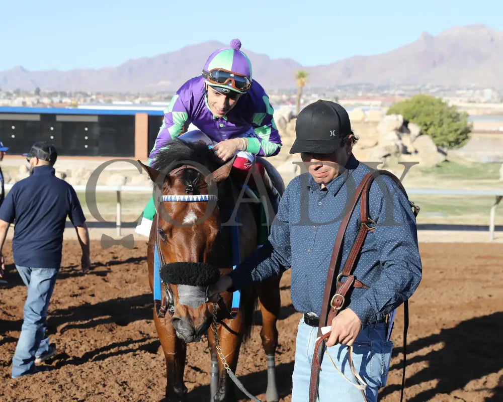 Stronghold - The 19Th Running Of Sunland Derby 02-18-24 R09 Park 001