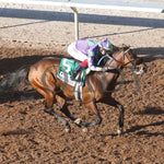 Stronghold - The 19Th Running Of Sunland Derby 02-18-24 R09 Park Finish 2