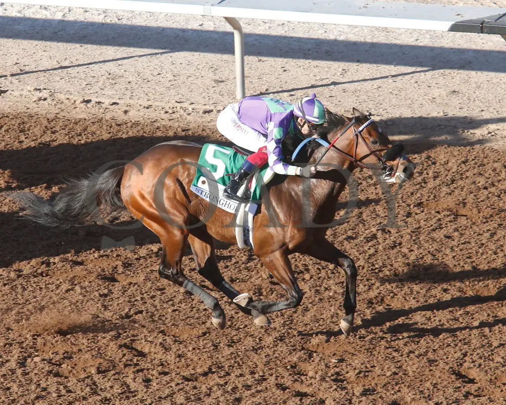 Stronghold - The 19Th Running Of Sunland Derby 02-18-24 R09 Park Finish 2