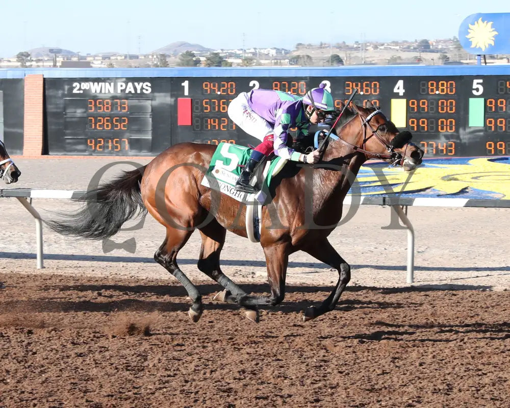 Stronghold - The 19Th Running Of Sunland Derby 02-18-24 R09 Park Finish 3