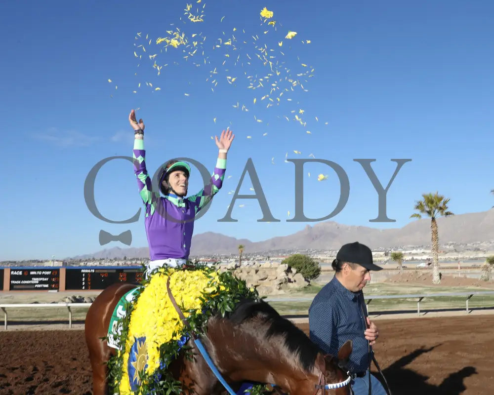 Stronghold - The 19Th Running Of Sunland Derby 02-18-24 R09 Park Flowers 2