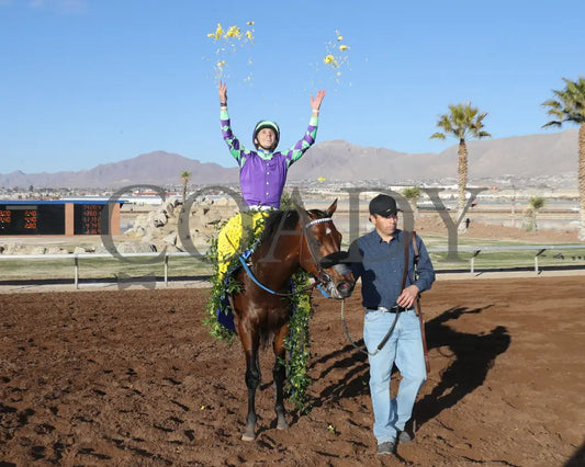 Stronghold - The 19Th Running Of Sunland Derby 02-18-24 R09 Park Flowers