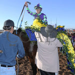 Stronghold - The 19Th Running Of Sunland Derby 02-18-24 R09 Park Garland