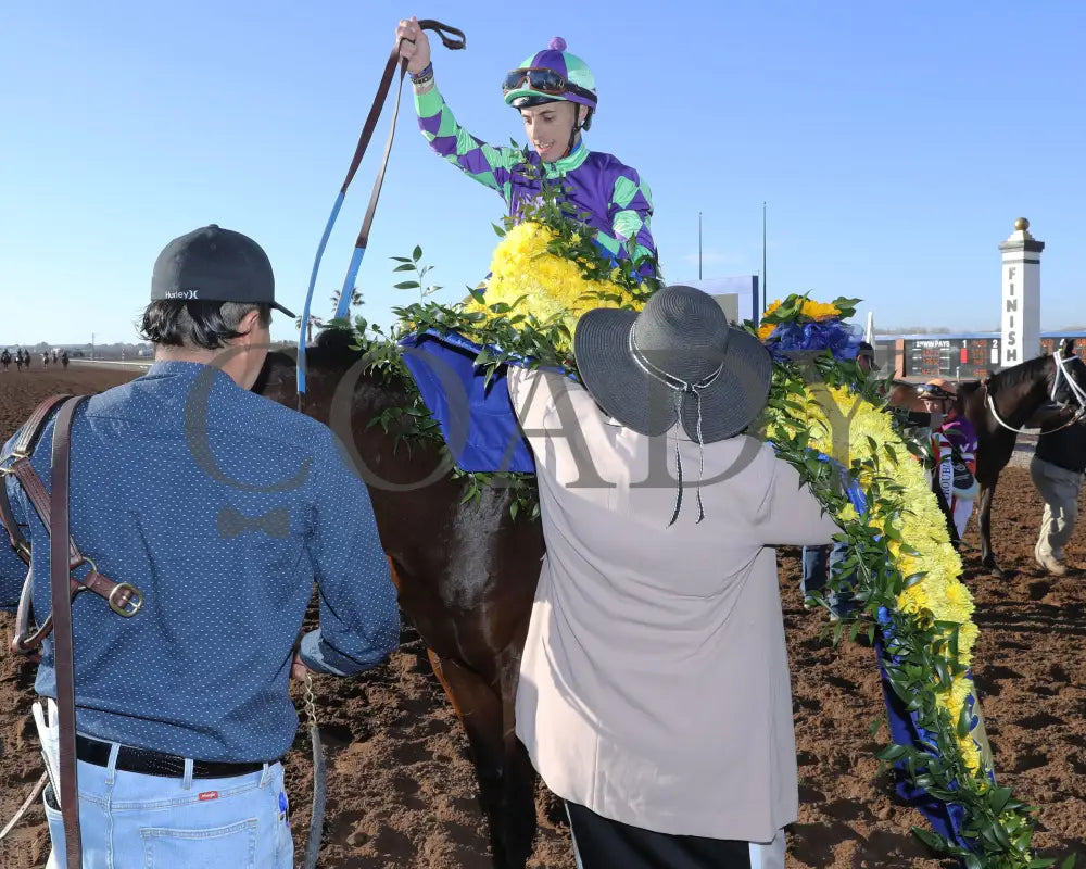 Stronghold - The 19Th Running Of Sunland Derby 02-18-24 R09 Park Garland