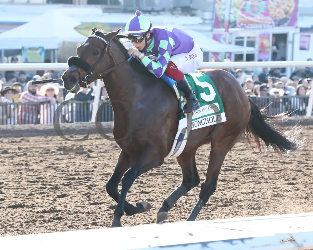 Stronghold - The 19Th Running Of Sunland Derby 02-18-24 R09 Park Inside Finish