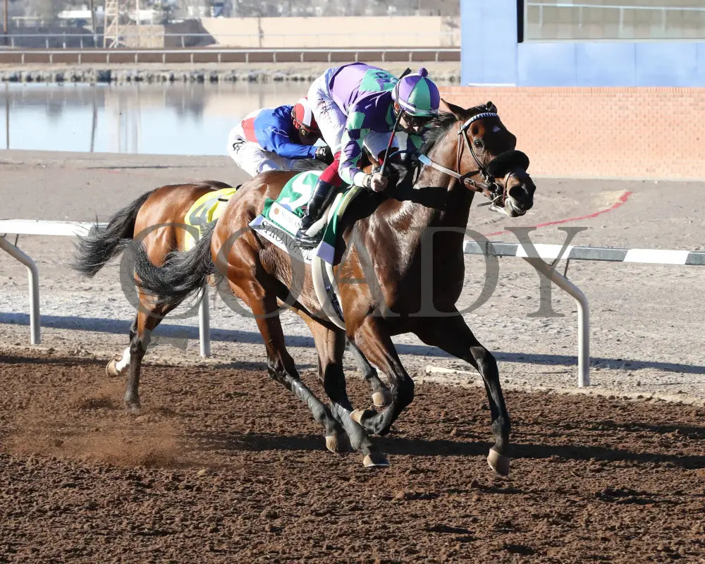 Stronghold - The 19Th Running Of Sunland Derby 02-18-24 R09 Park Presentation