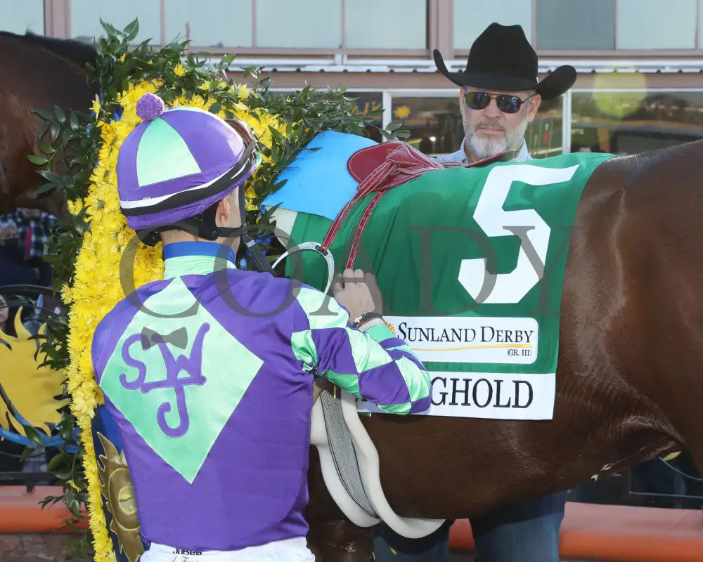 Stronghold - The 19Th Running Of Sunland Derby 02-18-24 R09 Park Saddle