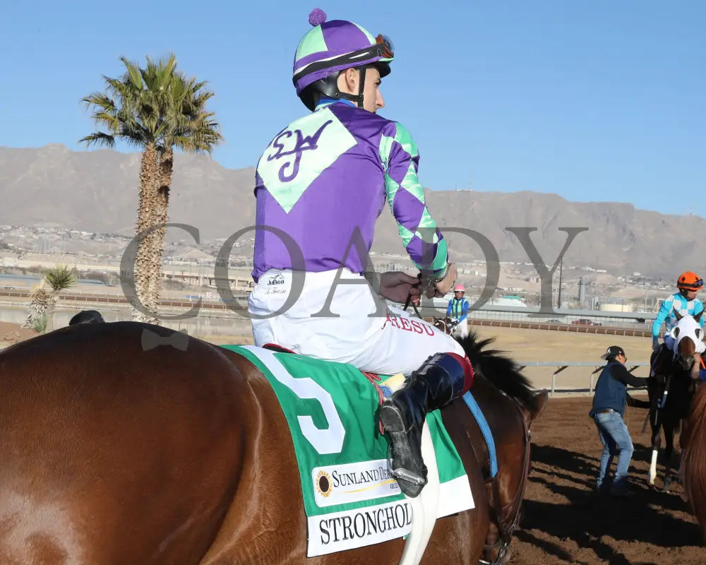 Stronghold - The 19Th Running Of Sunland Derby 02-18-24 R09 Park Silks