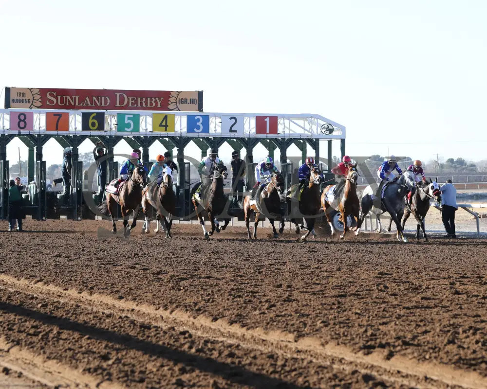 Stronghold - The 19Th Running Of Sunland Derby 02-18-24 R09 Park Start