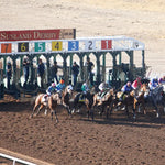 Stronghold - The 19Th Running Of Sunland Derby 02-18-24 R09 Park Start 2