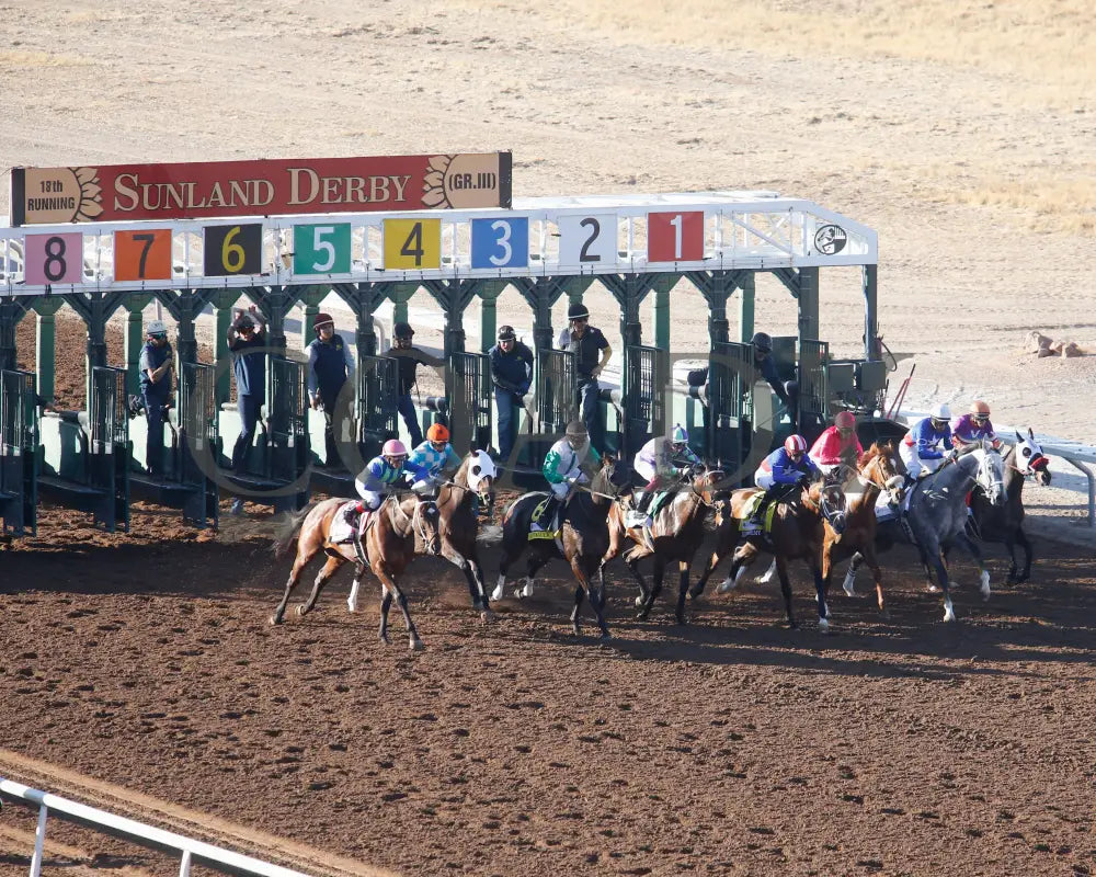 Stronghold - The 19Th Running Of Sunland Derby 02-18-24 R09 Park Start 2