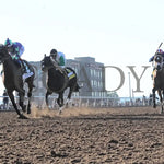 Stronghold - The 19Th Running Of Sunland Derby 02-18-24 R09 Park Under Rail